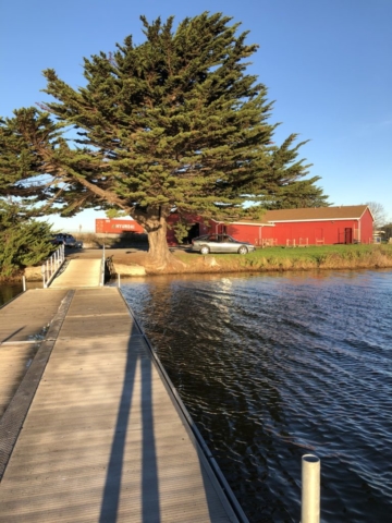berkeley_rowing_aquatic_park_dock